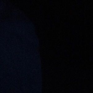 Meet your Posher, Shay